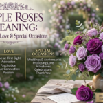 Purple Roses Meaning: Symbolism, Love & Special Occasions